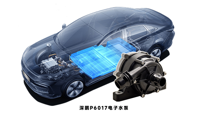 探秘電動汽車水泵：種類、應(yīng)用與原理全知曉